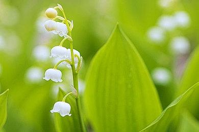 《猎天使魔女3》两则30秒TVCM 10月28日发售